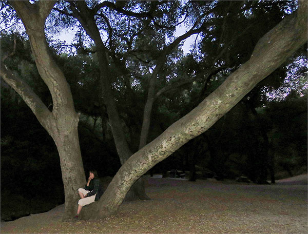 The best way to await an owl!