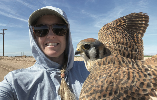 Teresa Ely and American Kestrel
