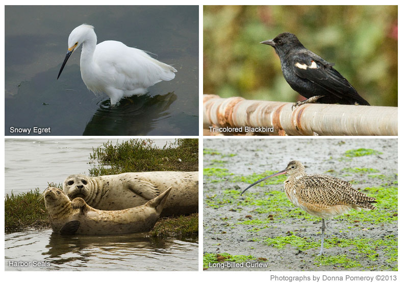 Photos by Donna Pomeroy