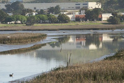 SamTrans Marsh